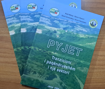 Pyjet - tranzicioni i paqëndrueshëm i një sektori